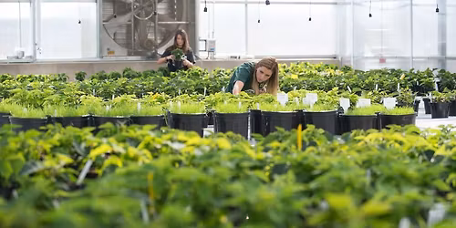 SJ Delta College Greenhouse Tour