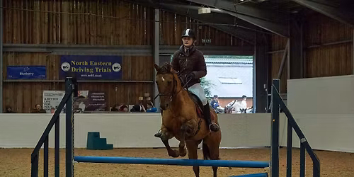 Cant Jump Wont Jumping Series