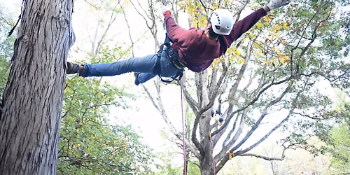 Tree Dancing Retreat