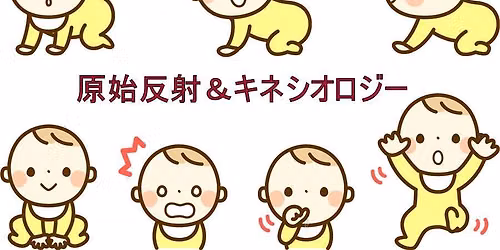 \u539f\u59cb\u53cd\u5c04\uff06\u30ad\u30cd\u30b7\u30aa\u30ed\u30b8\u30fc