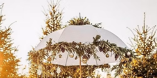 Holiday Family Mini Sessions