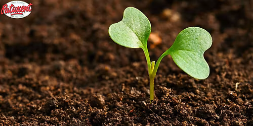 Soil Building Seminar