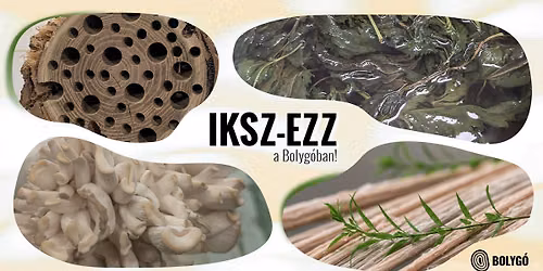 IKSZ-ezz a Bolyg\u00f3ban!