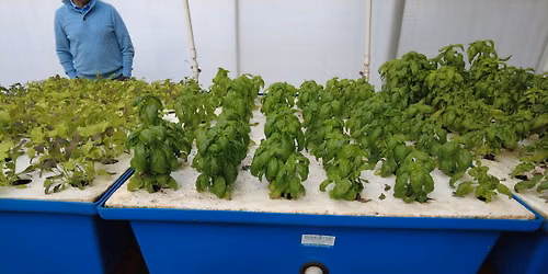 Aquaponic on-farm workshop: Regulations you should know about