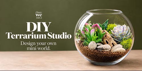 Diy Terrarium Studio