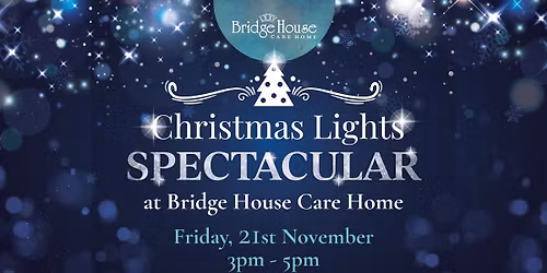 Christmas Lights Spectacular at Bridge House Care Home