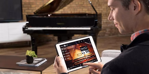 Disklavier Decoded:  Secrets, Shortcuts and Surprises!
