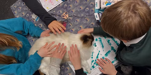 Art & Animals At Birkhill House CIC