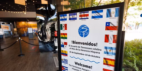 Hispanic Heritage Month at the Aquarium