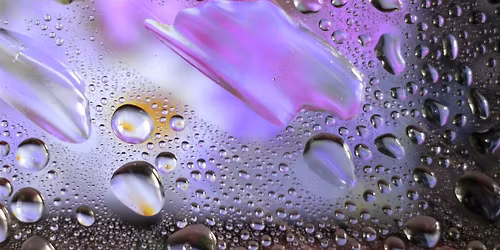 Music Bingo Celebrates Prince