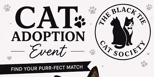 Kitten Adoption Event