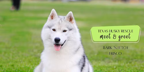 DFW March Meet & Greet - Bark n' Fetch in Frisco