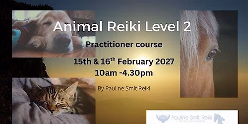 Animal Reiki  level 2 (practitioner) (2 days)