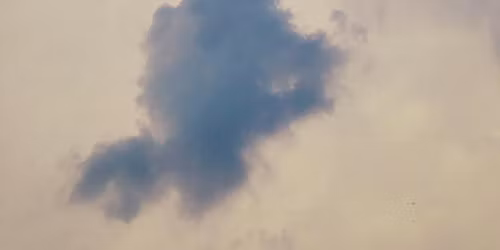 E ziua mea - hai \u00een Botanic