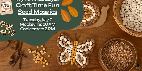 Try It Tuesdays: Seed Mosaics