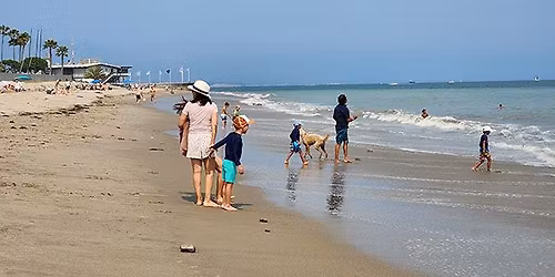 SBMM Speaker Series for November