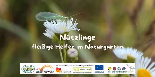 N\u00fctzlinge - flei\u00dfige Helfer im Naturgarten