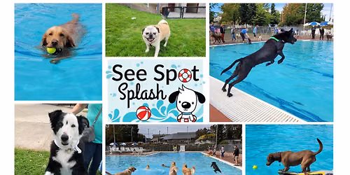 See Spot Splash 