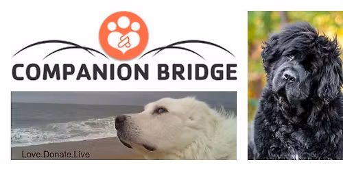 Brian Boru Lunch and Dinner Fundraiser