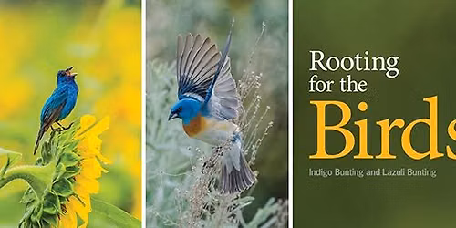 Gardening For Birds Presentation