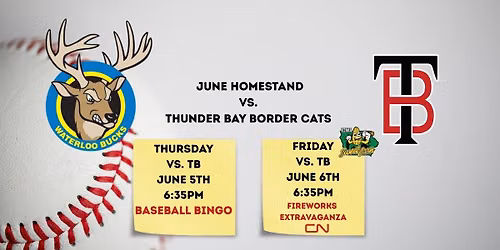 Thunder Bay Border Cats vs. Duluth Huskies