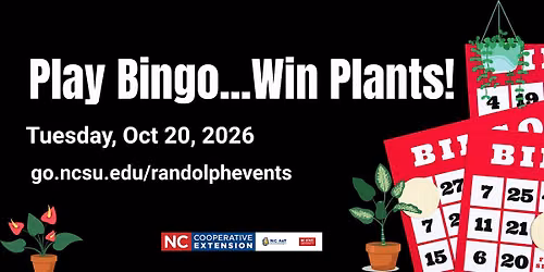 Houseplant BINGO!