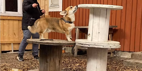 Sommar i Magria - Fins\u00f6k & Fokus