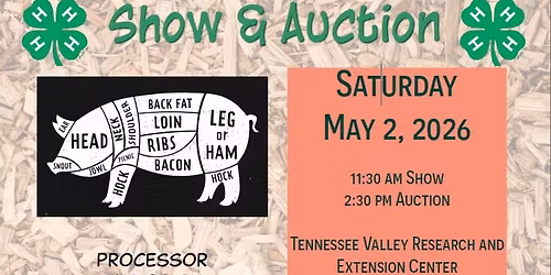 4-H Pig Squeal Show & Auction 
