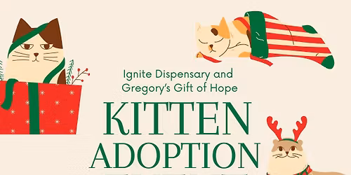 Holiday Kitten Adoption Event