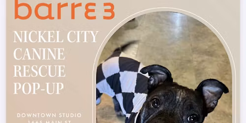 Barre & Bark