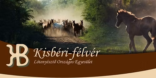 Mikul\u00e1s-napi egyes\u00fcleti tal\u00e1lkoz\u00f3