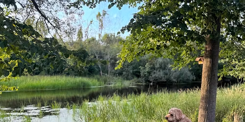 UPDATED DATE: Plan Committee Meeting - No Ski Lake Ordinance