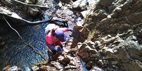 6\/14(\u65e5) \u82a6\u5c4b\u5730\u7344\u8c37\u30b0\u30eb\u30e1\u30cf\u30a4\u30ad\u30f3\u30b0