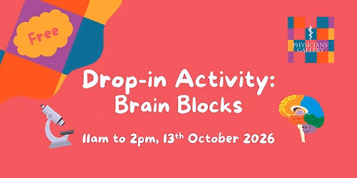 Drop-in Activity: Brain Blocks