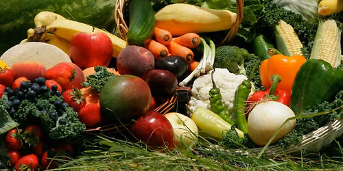 Growing Vegetables 101: Plan, Plant & Harvest