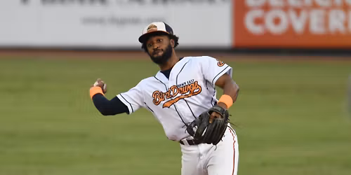 Washington Wild Things vs. Down East Bird Dawgs