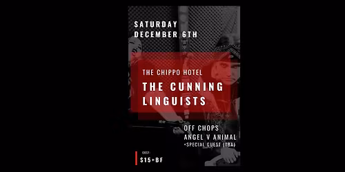 THE CUNNING LINGUISTS