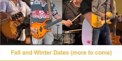 The Wiley Brothers Band