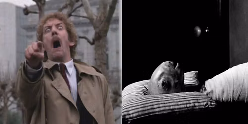 INVASION OF THE BODY SNATCHERS (1978) + ERASERHEAD in Bleak Week