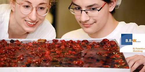 Weihnachtsmarkt im B.B.W. Abensberg