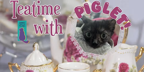 Teatime With Piglet!