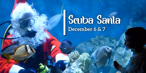 Scuba Santa