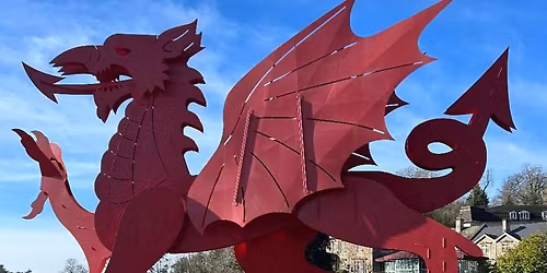 HUBBS Summer Showcase