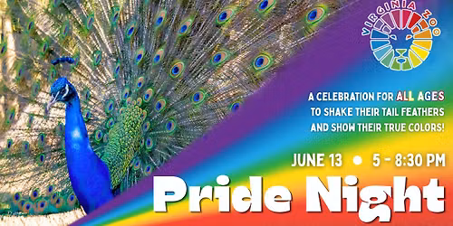 Pride Night