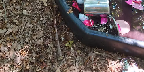 \u2600\ufe0f\ud83c\udf3bSummer Specials \ud83c\udf3b\u2600\ufe0f