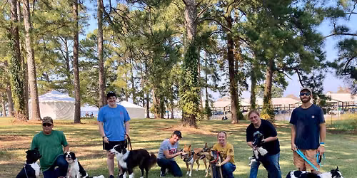 Sheepdog Herding Clinic