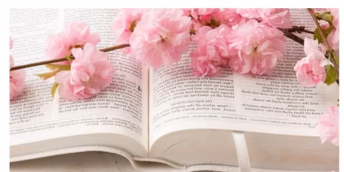 Women's Bible Study