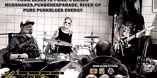 Concerts au Lou's Bar