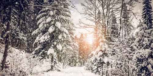 2025 Memorial Tree Lighting Ceremony