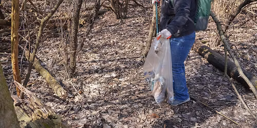 Weekly Clean: Borden Park
